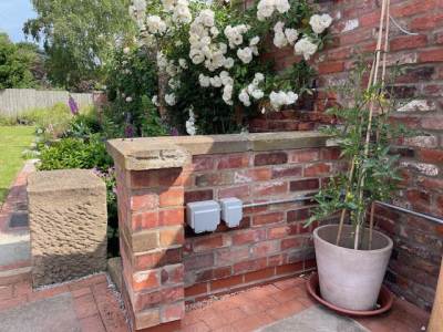 Alt